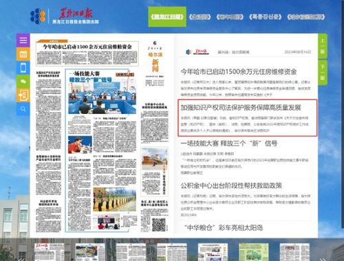黑龍江日報 加強知識產(chǎn)權司法保護 服務保障高質量發(fā)展